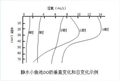 【水质管理专题】池塘溶氧低！需要明白这几点原因！附处理措施(图6)