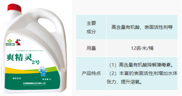 【河蟹专题】春放苗秋收获，河蟹如何成功放苗？这些注意事项你知道吗？(图5)