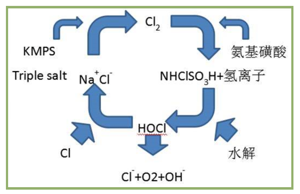 【产品技术（消毒剂）】| 一文带您读懂过硫酸氢钾复合盐！(图6)